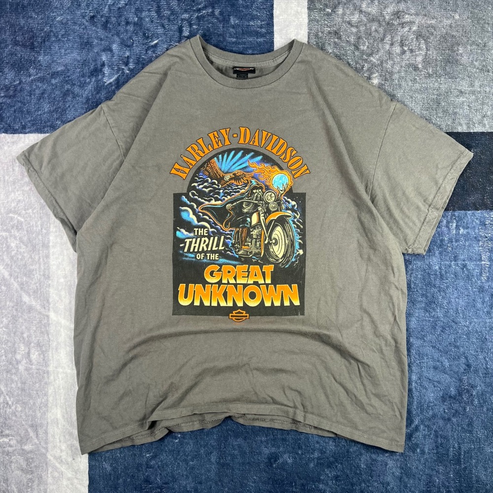 Harley Davidson Wizard Biker Graphic T-Shirt Mens Size XL Gray